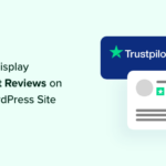 Learn how to Show Trustpilot Evaluations on Your WordPress Website