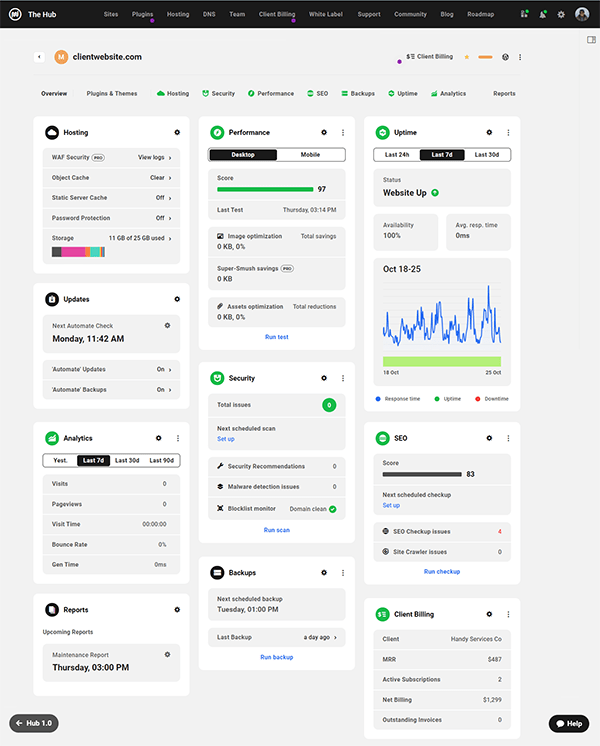 The Hub Client Site - Overview Panel