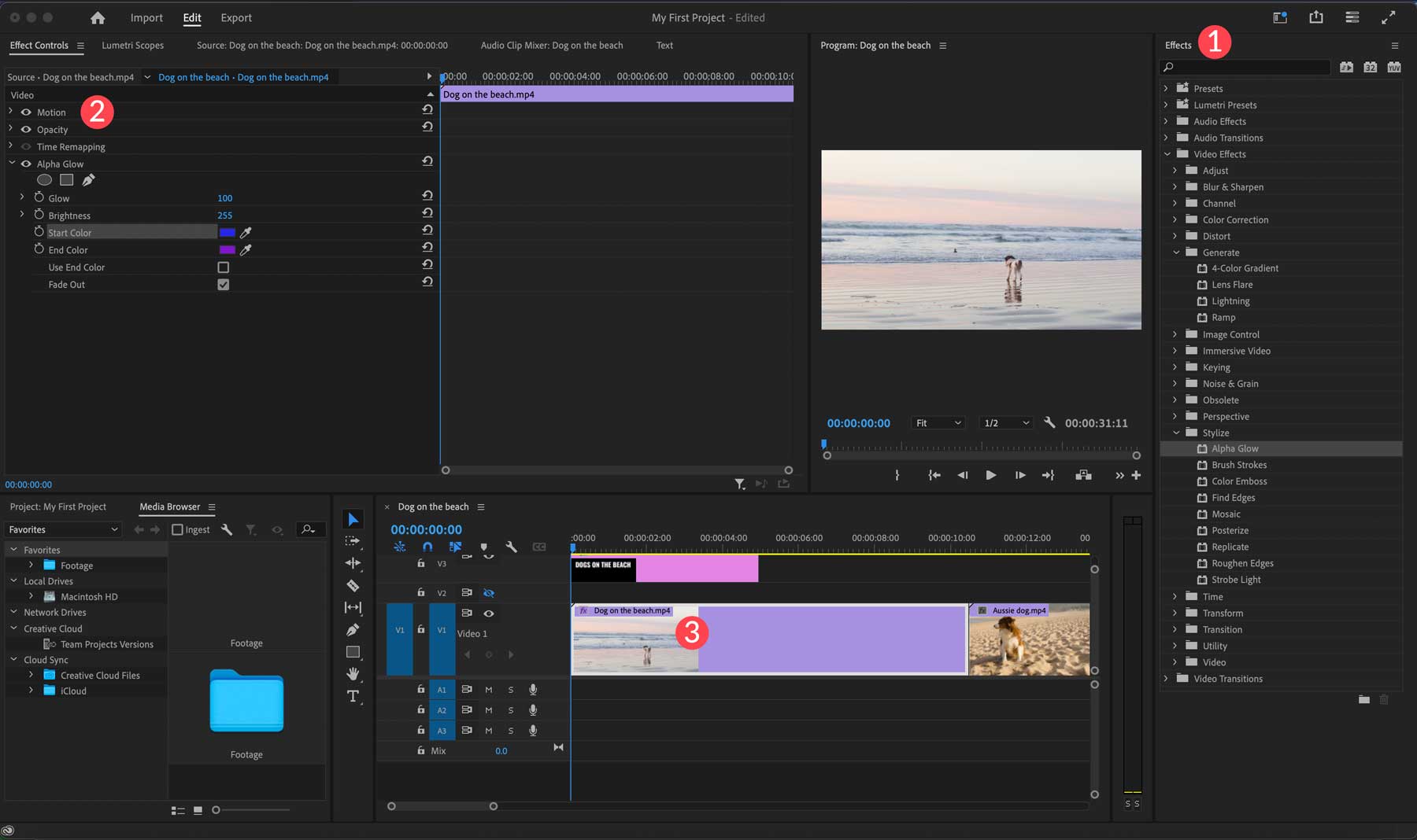 Adobe Premiere Effects