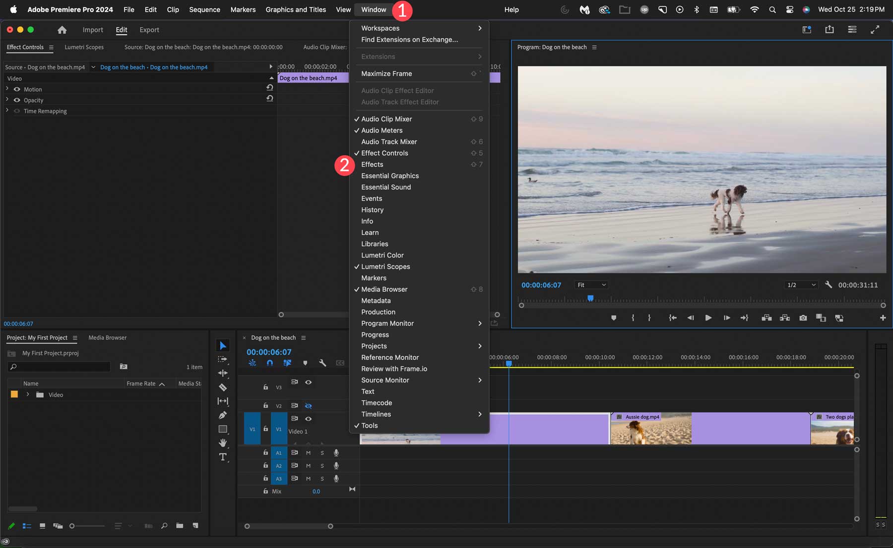 Adobe Premiere Pro effects