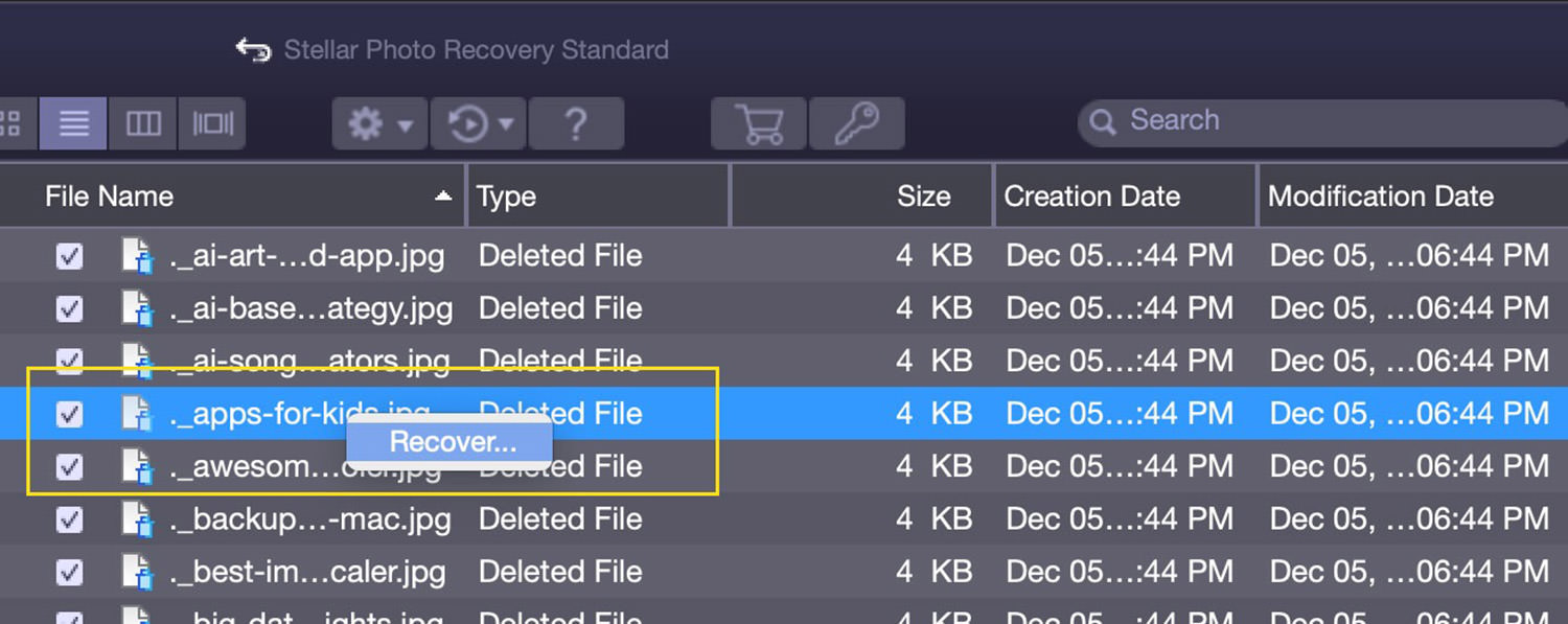 Option to Recover Single File