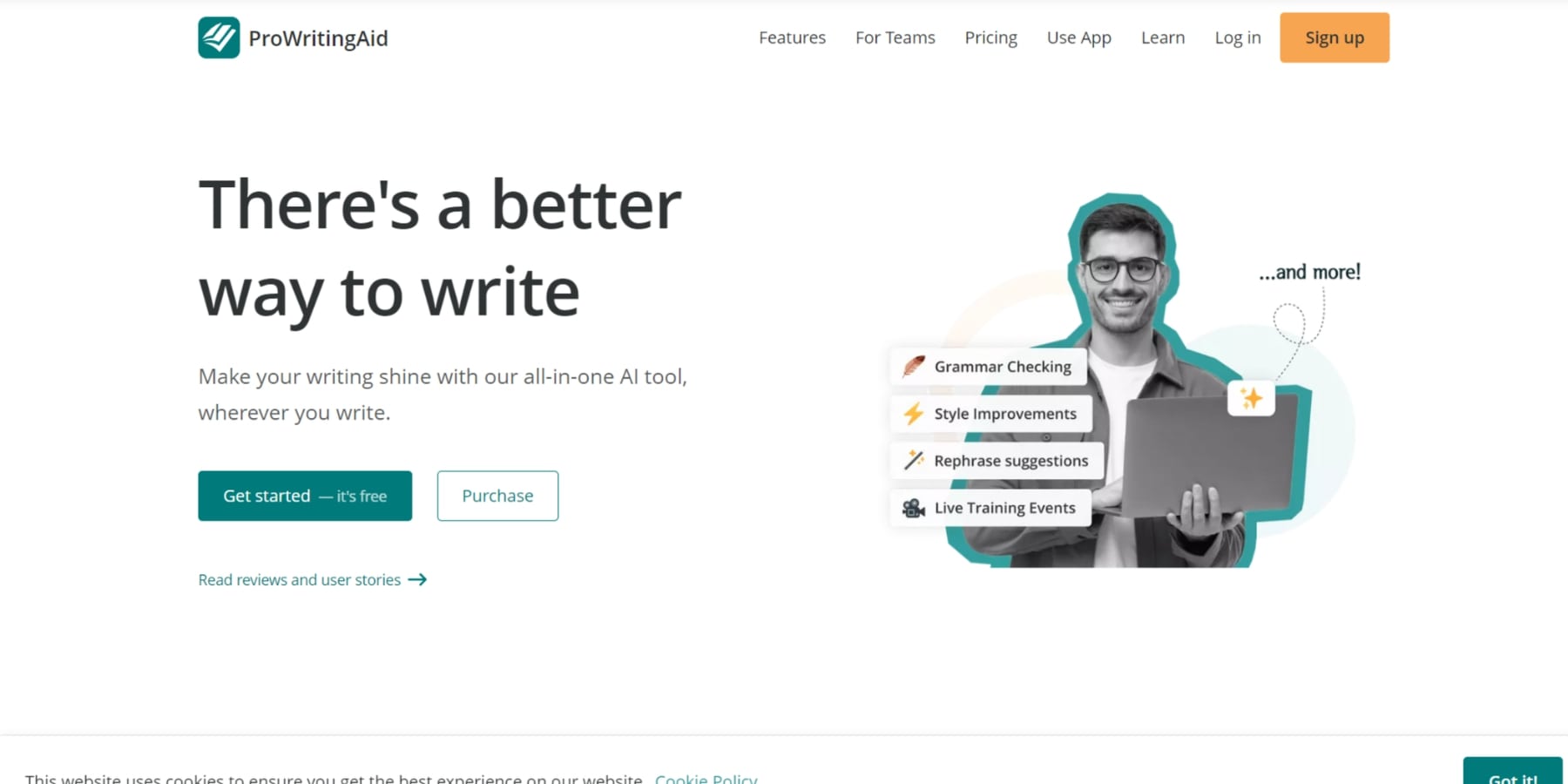 A screenshot of the ProWritingAid's homepage