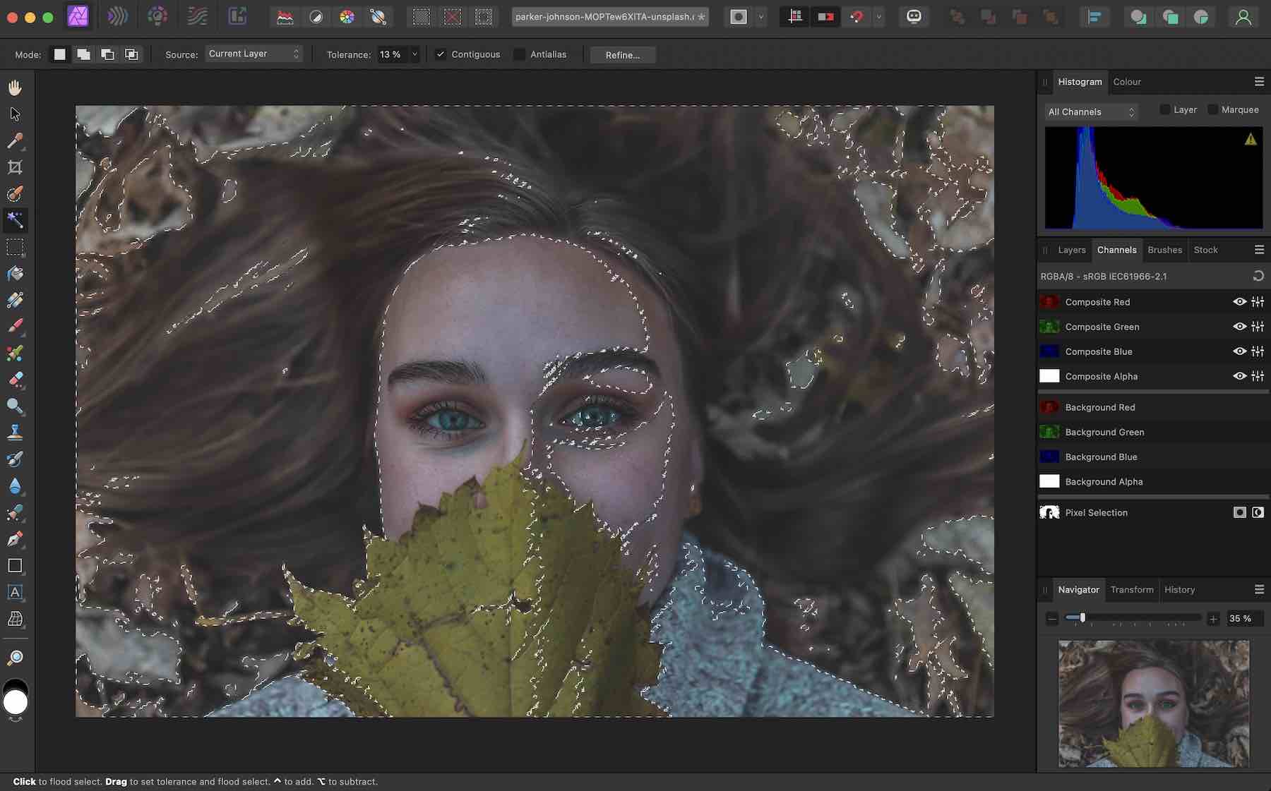 Affinity Photo RAW format image editing