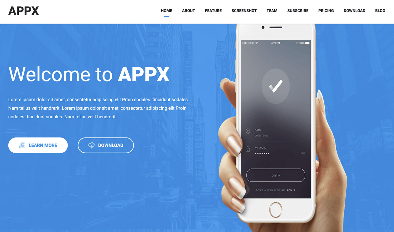 Appx WordPress Theme