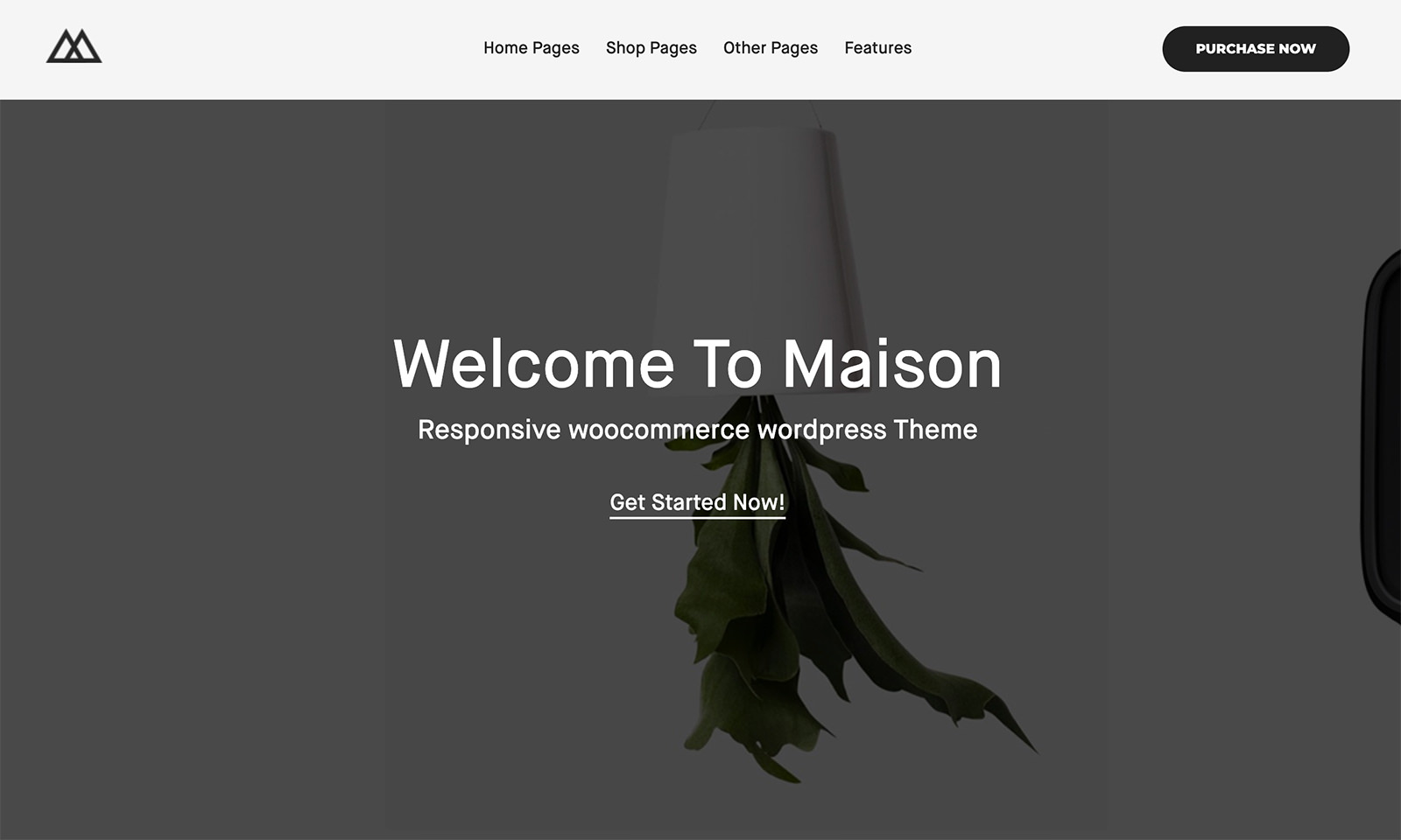 Maison WordPress Theme