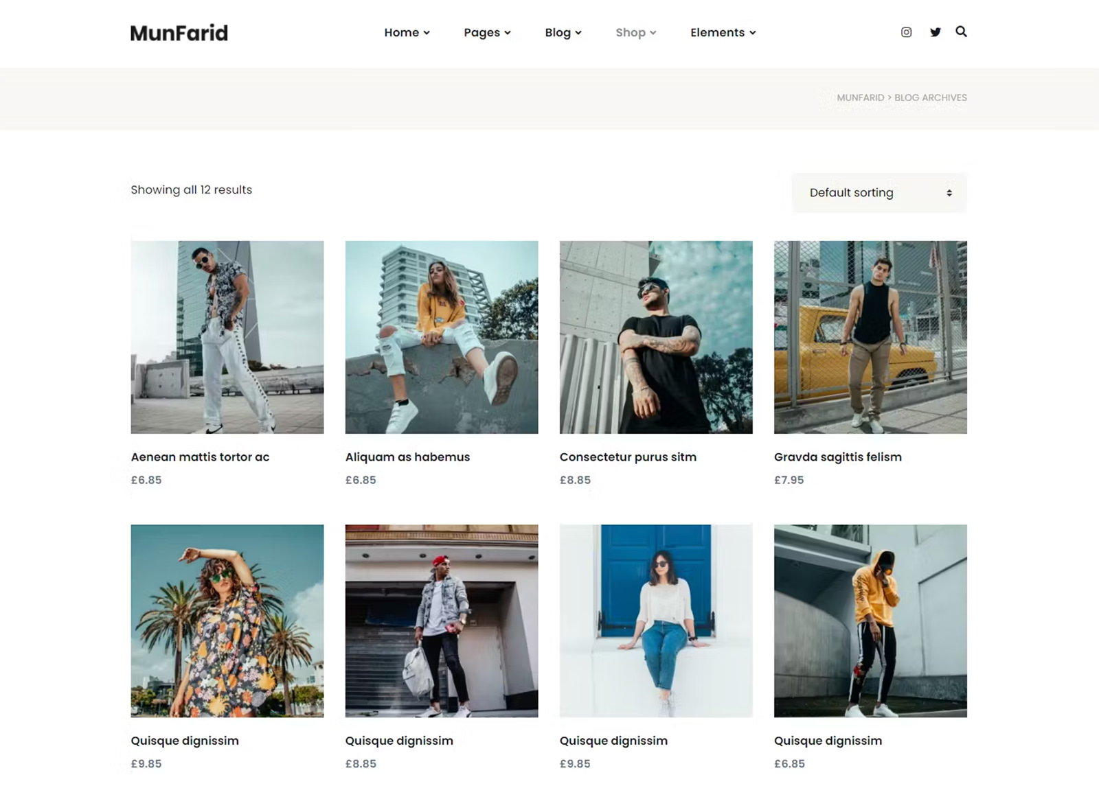 Munfarid WordPress Theme