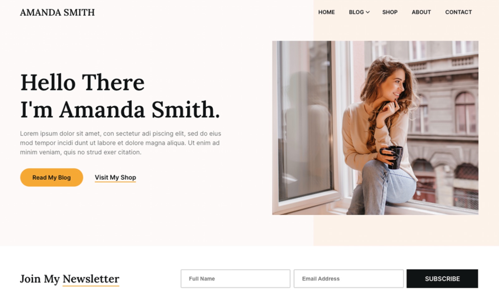 Superb eCommerce WordPress Theme