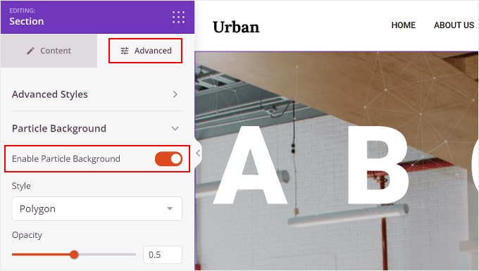 Enabling the particle background settings in SeedProd