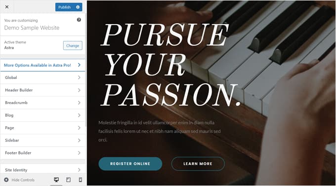 What the Theme Customizer looks like for Astra theme