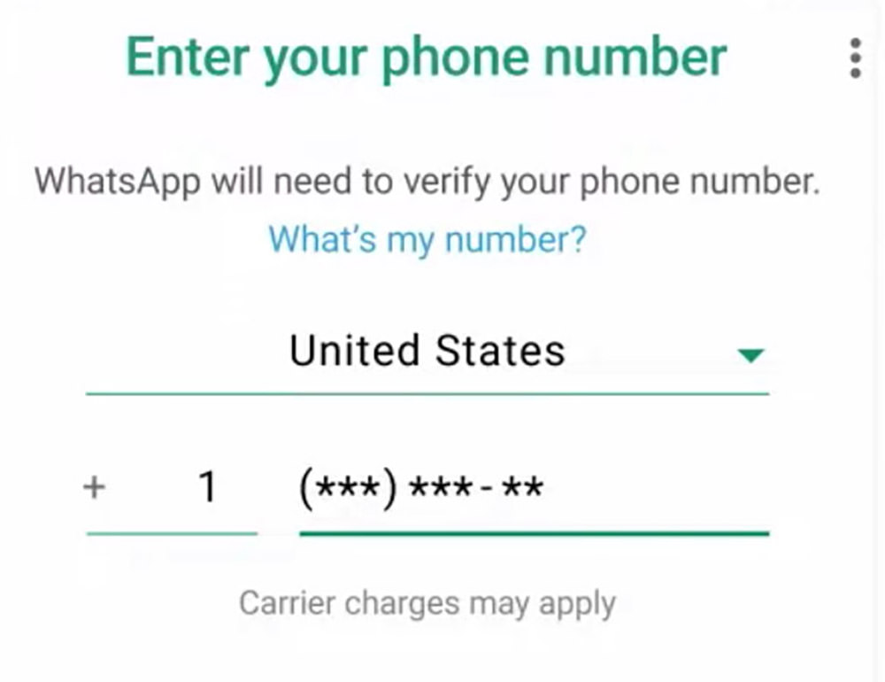 Enter Phone Number on WhatsApp