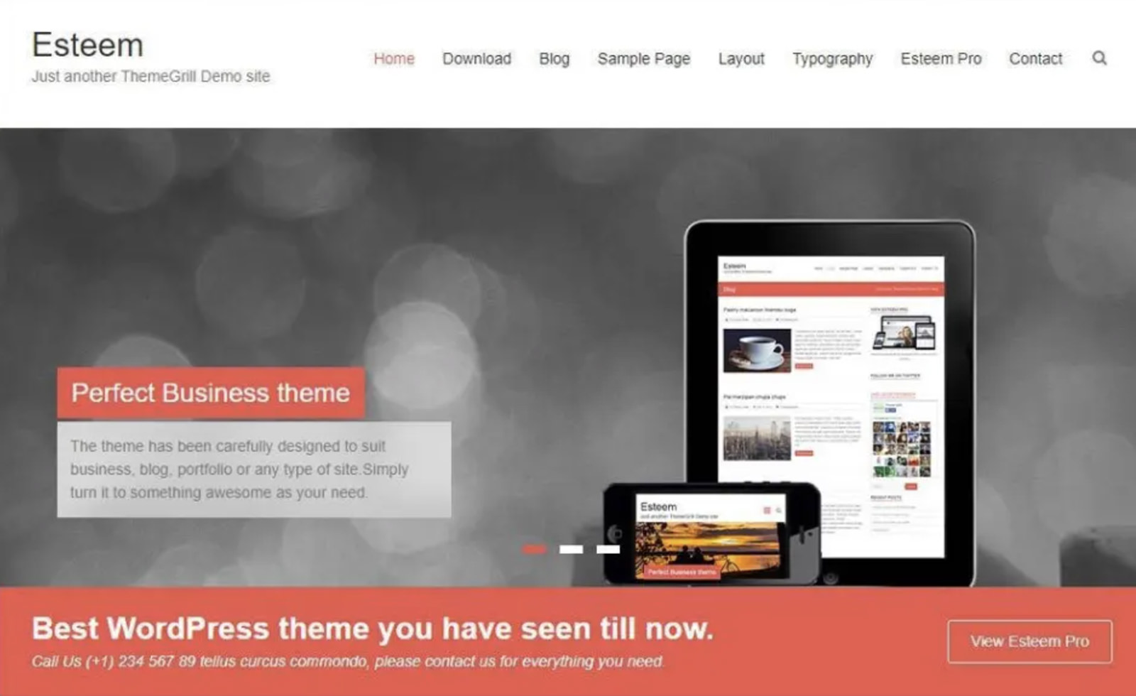 Esteem WordPress Theme