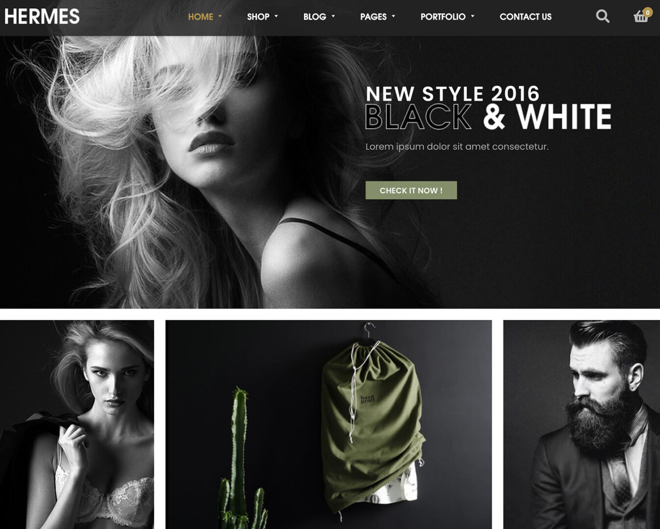 Hermes WordPress Theme