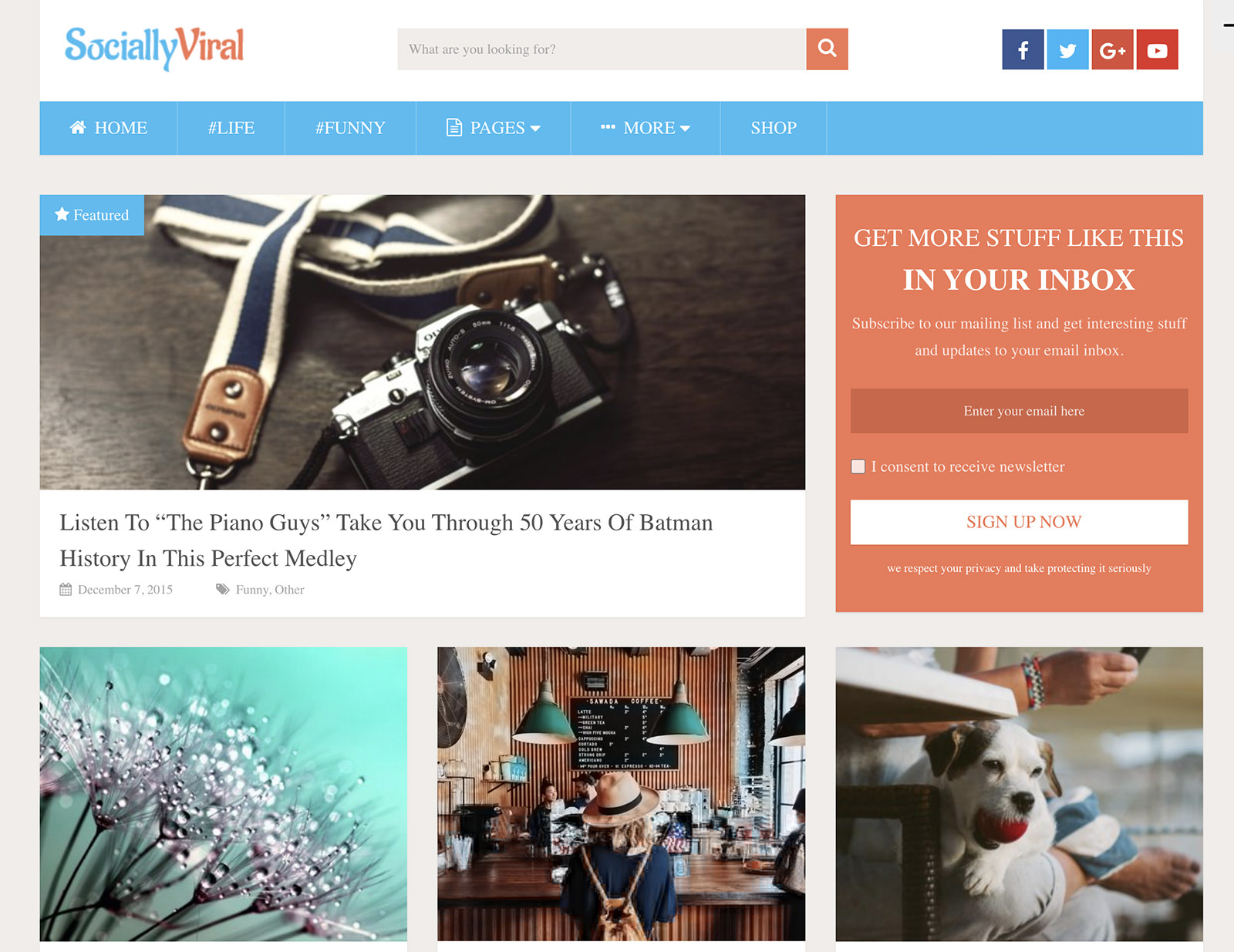 SociallyViral WordPress Theme