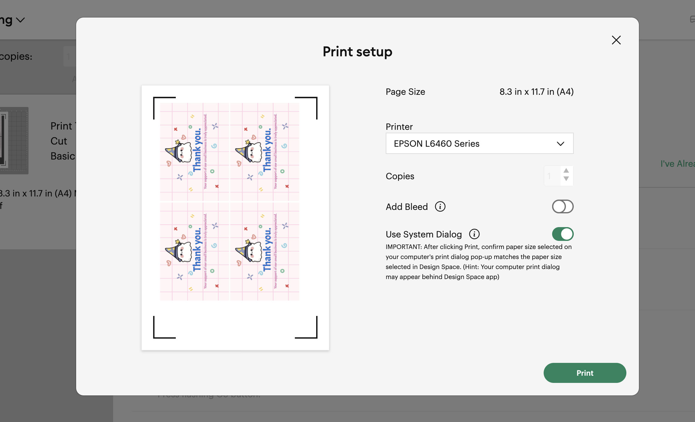 Printer setup dialogue