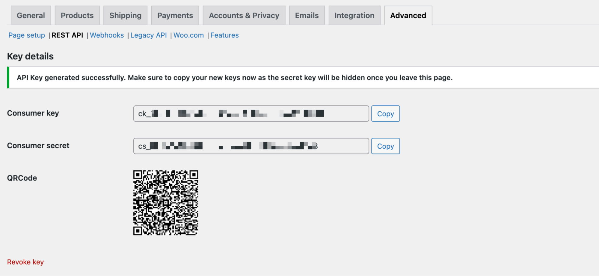 The Key details window displaying a message: API Key generated successfully. Make sure to copy your new keys now as the secret key will be hidden once you leave this page.