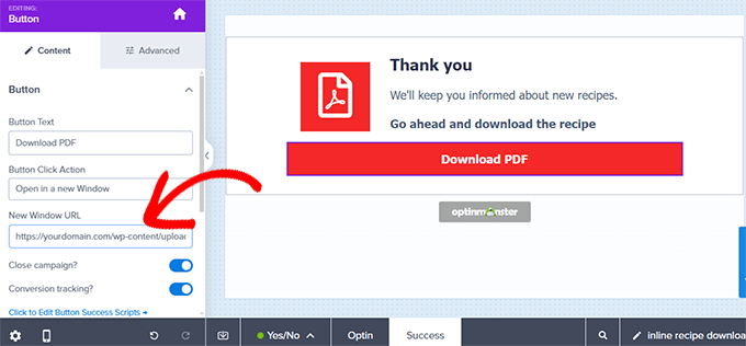 Add download link to the Success view