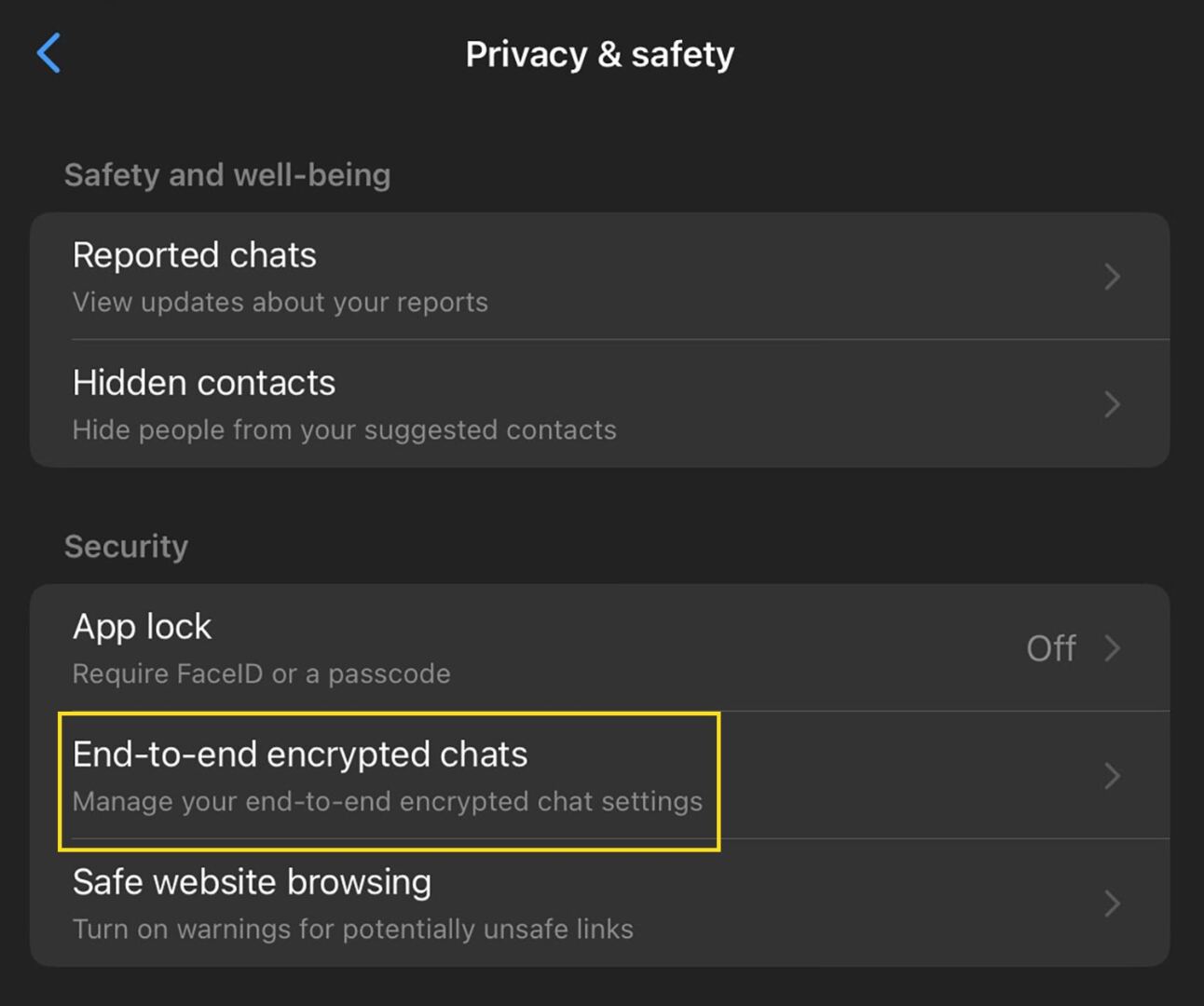 End-to-End Encrypted Chats screen