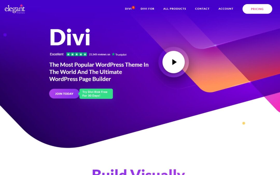 Divi vs OceanWP: Which WordPress Theme is Higher? (2024)