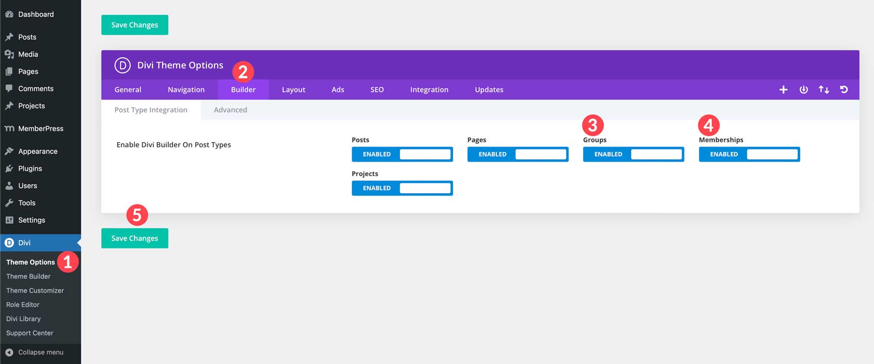 Divi Builder options