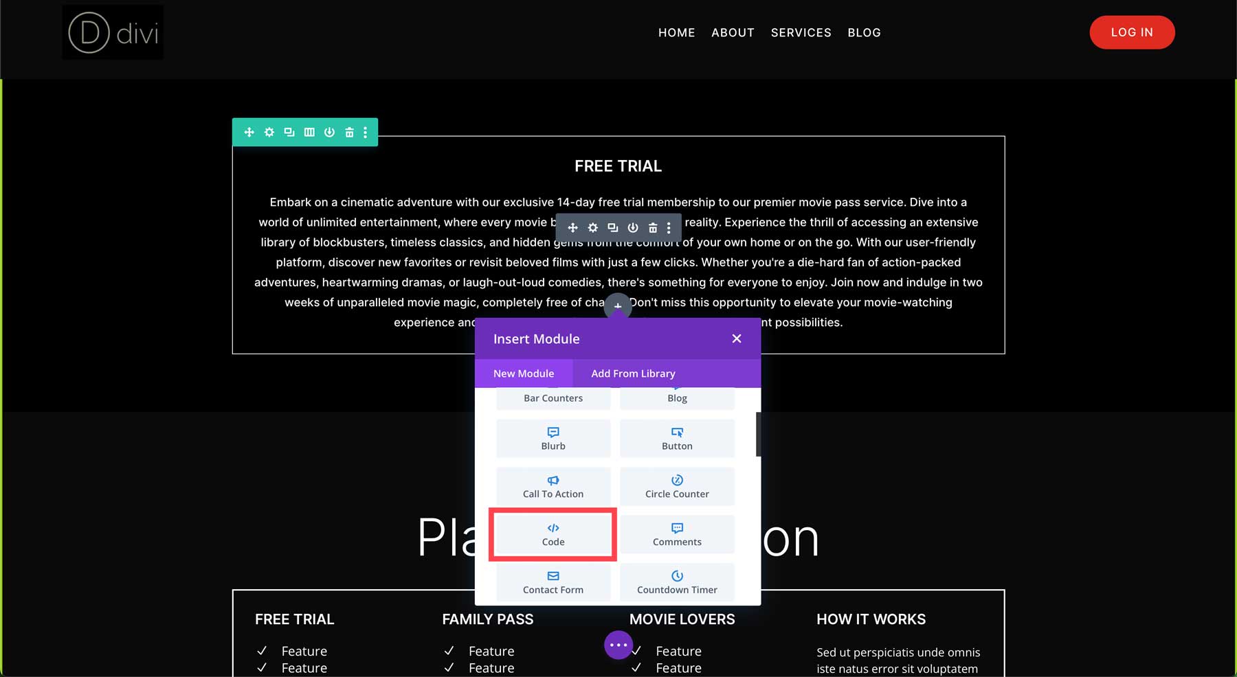Divi Code Module