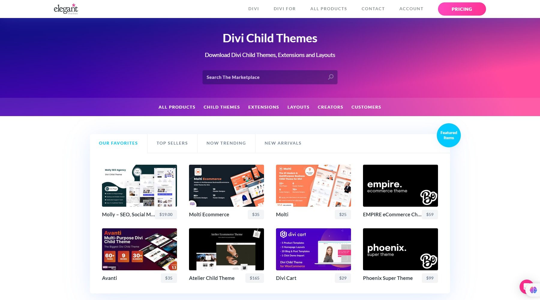 divi child theme