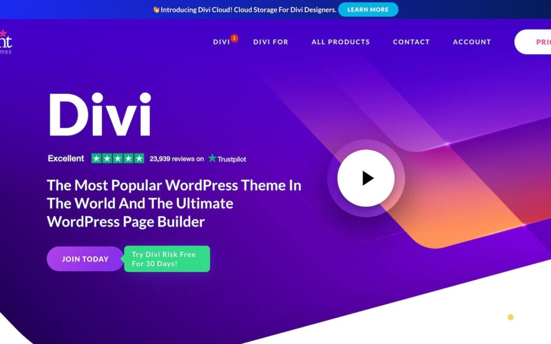 How one can Construct a Website online with Divi (2024 Instructional)