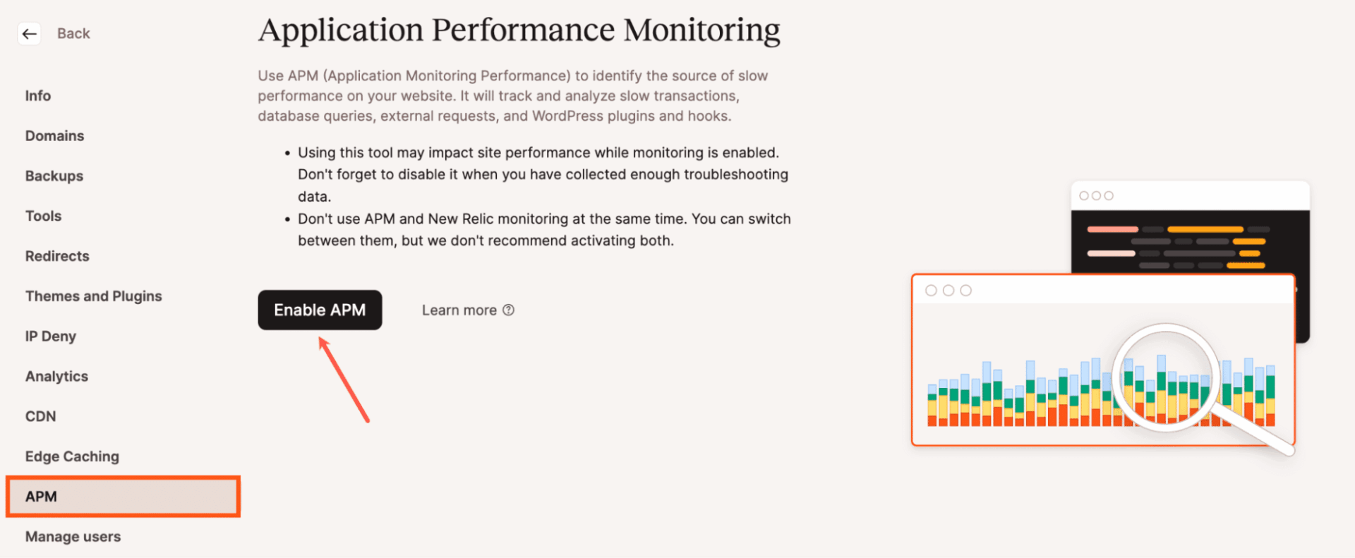 Kinsta APM tool in MyKinsta