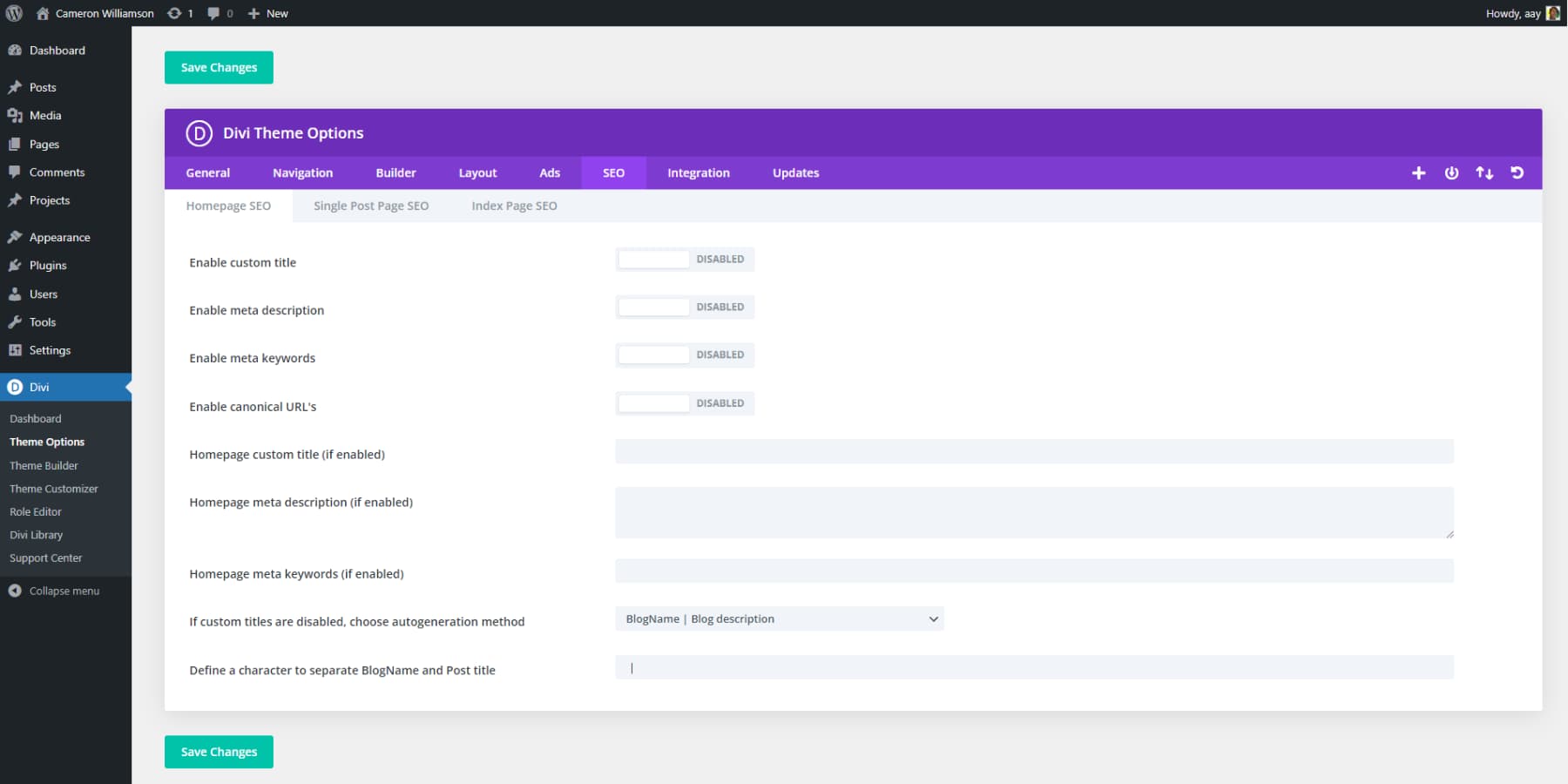 A screenshot of Divi's SEO options