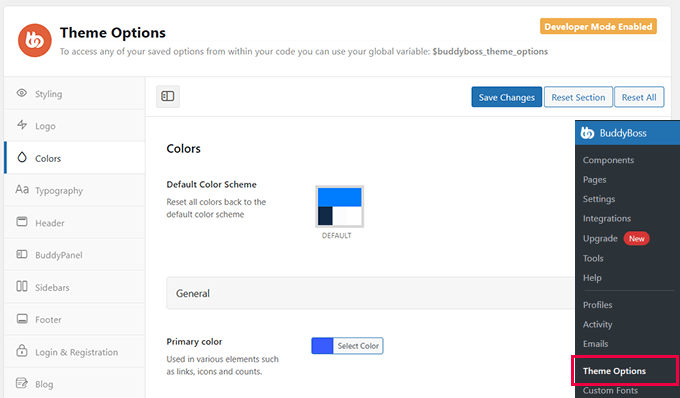 BuddyBoss theme options