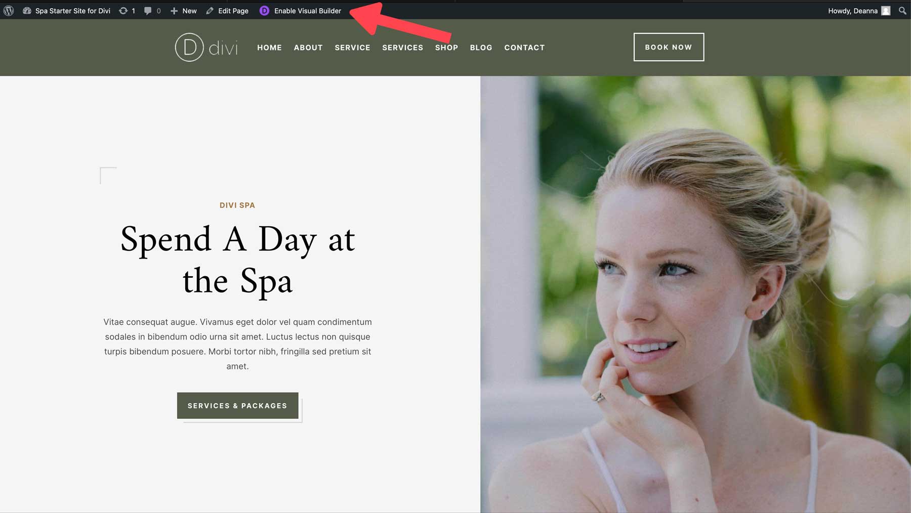 Spa starter site for Divi