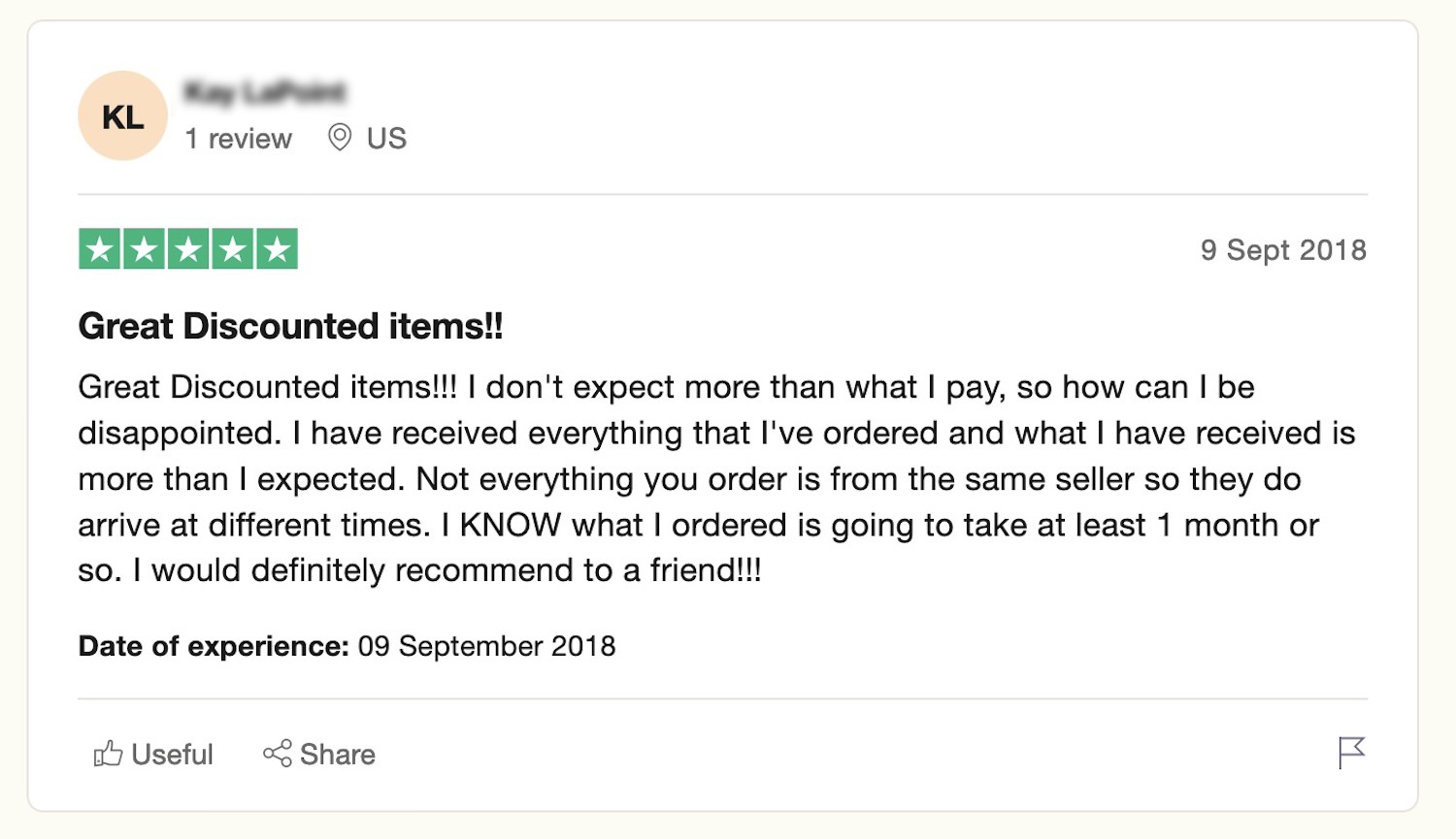 Example of fake review