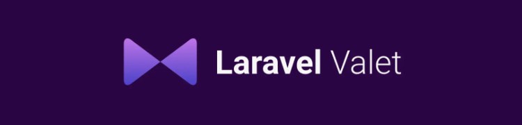 Configuring Laravel Valet on macOS