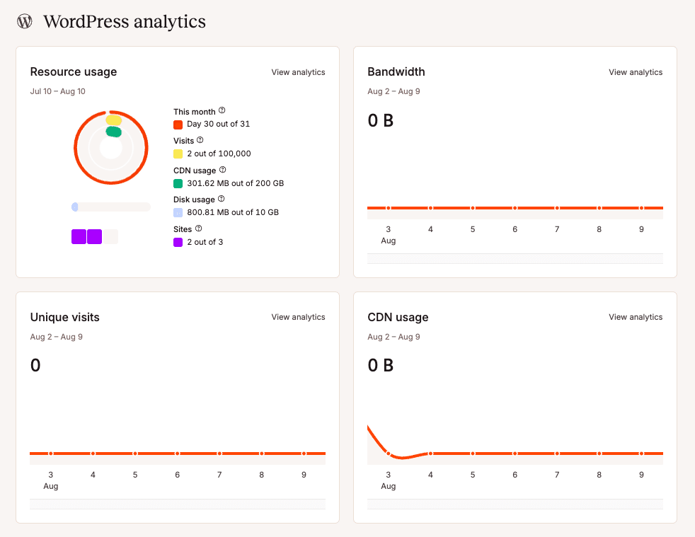 Custom WordPress analytics in MyKinsta