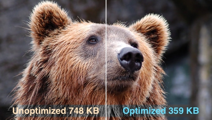 Optimized vs Unoptimized Images in <a href=