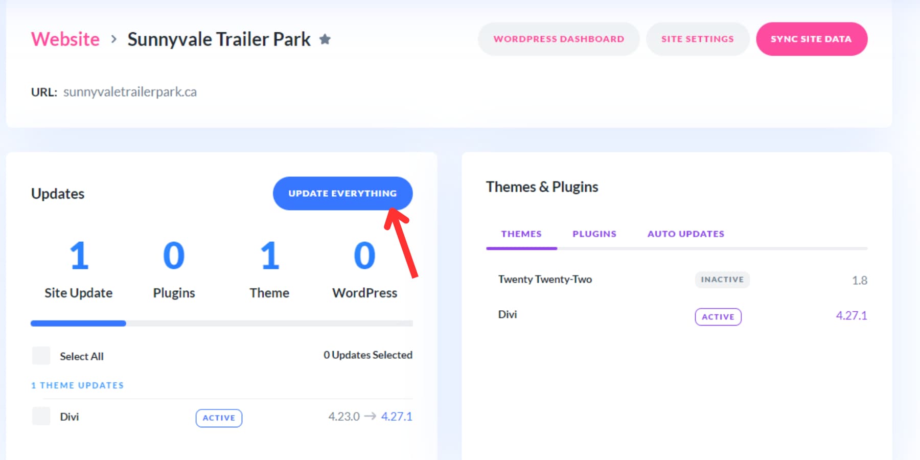 A screenshot of the Update All button on Divi Dash