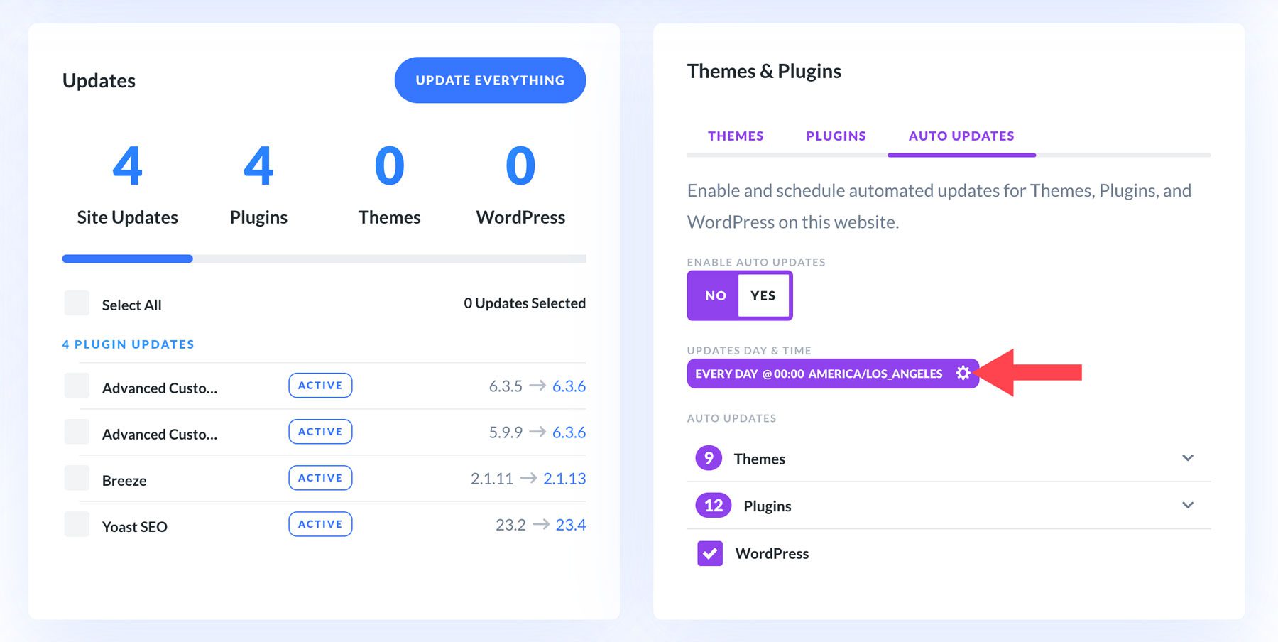 Divi Dash automatic update settings 