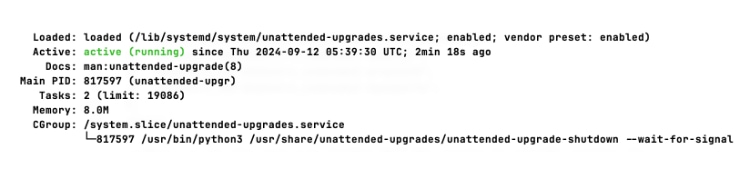 Checking Ubuntu Package Update Status in Terminal