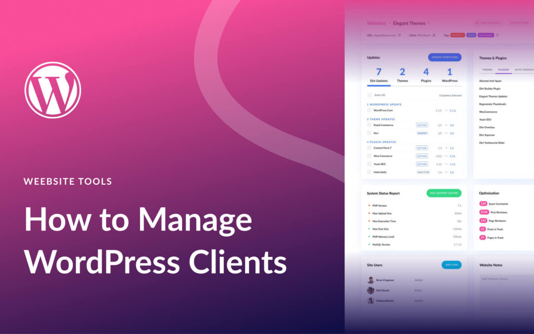 How To Manage WordPress Clients Efficiently with Smart Tools