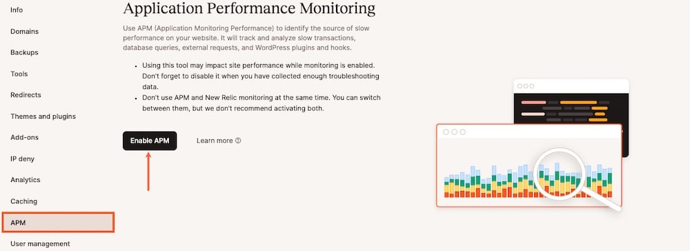 Schermata che mostra l'interfaccia di monitoraggio delle prestazioni dell'applicazione in MyKinsta.