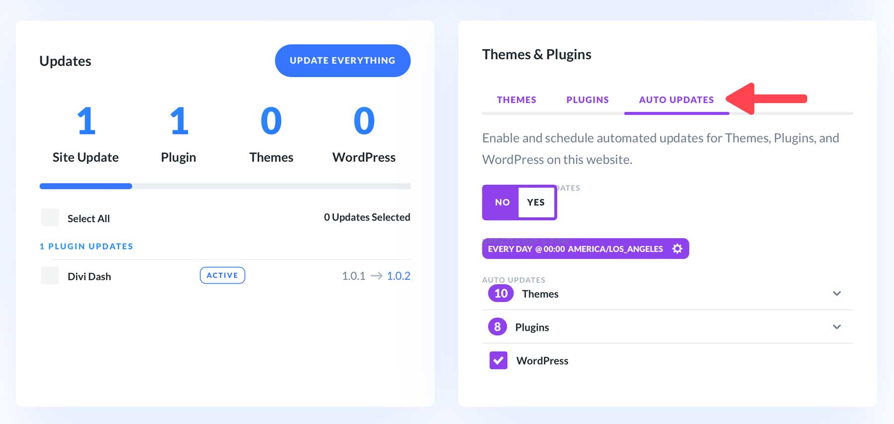 Divi Dash auto updates