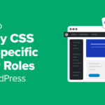 How one can Observe CSS for Particular Consumer Roles in WordPress (Simple Manner)