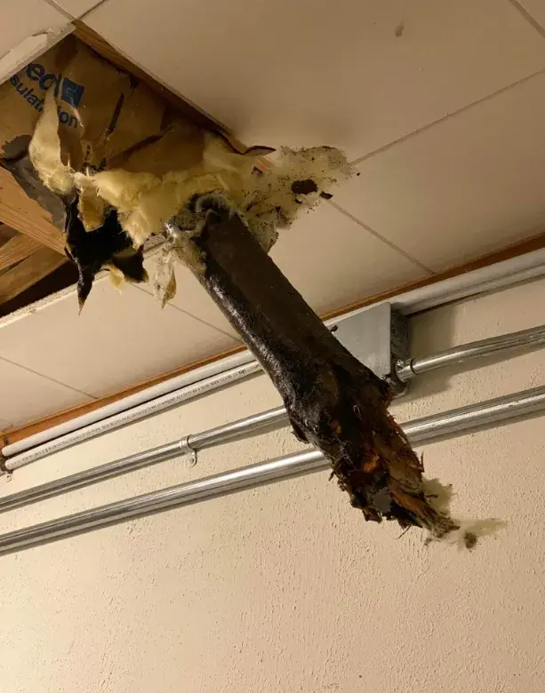 A tree branch sticking out of the roof of the Gamers' Haunt