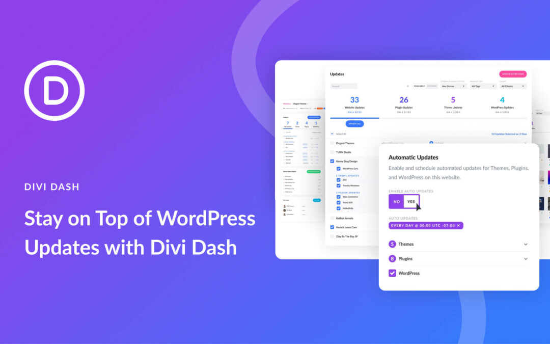 How Divi Dash Helps You Stay on Top of WordPress Updates