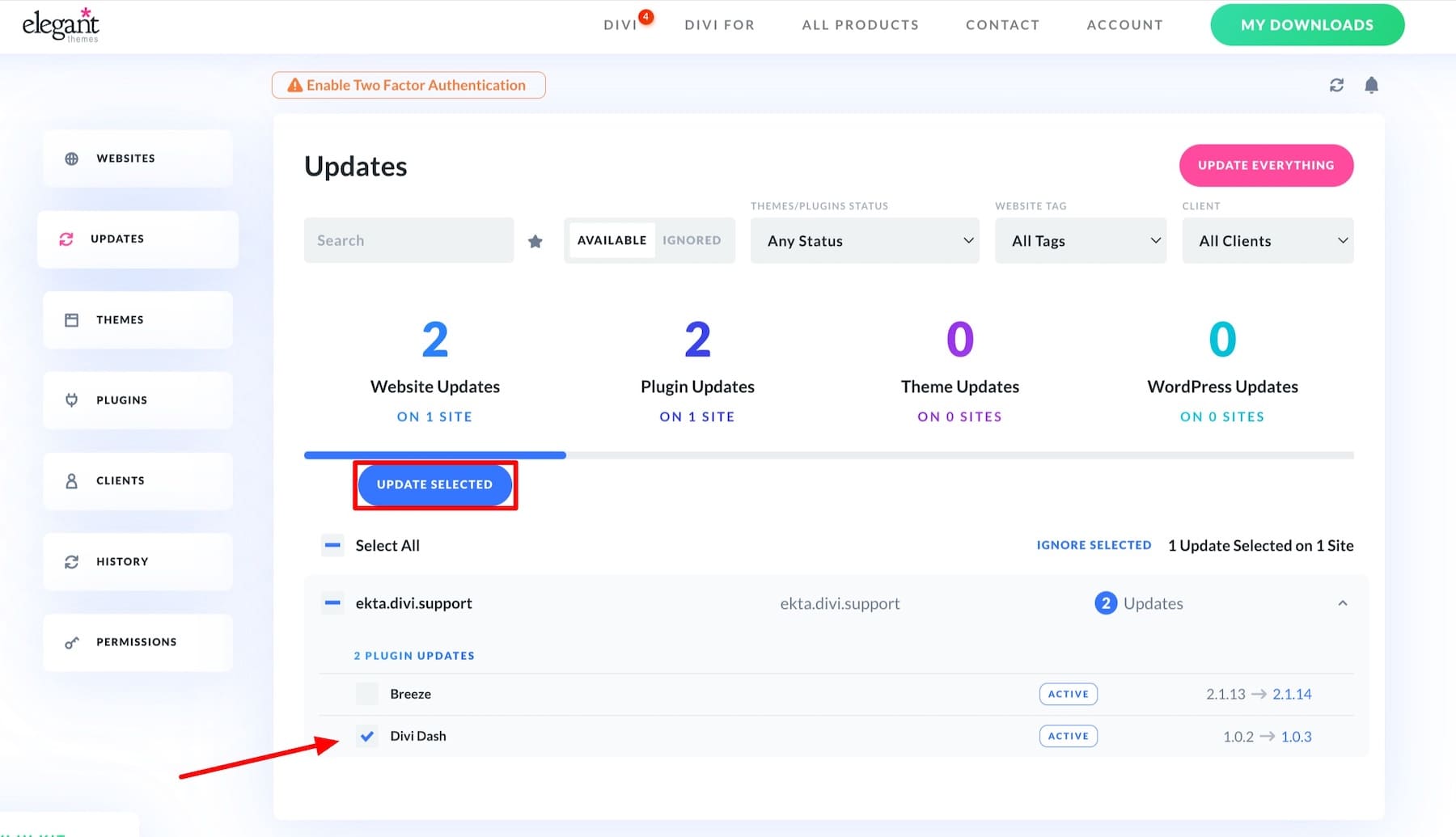 update selected elements divi dash