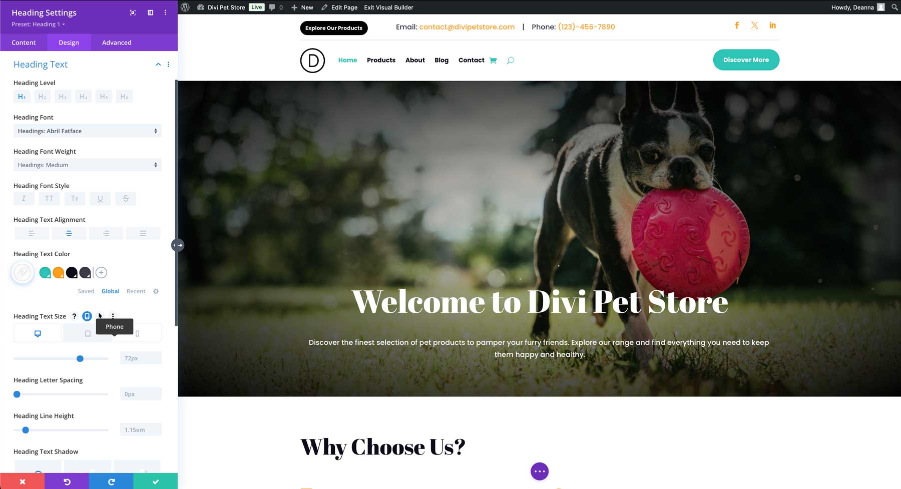 Divi Visual Builder