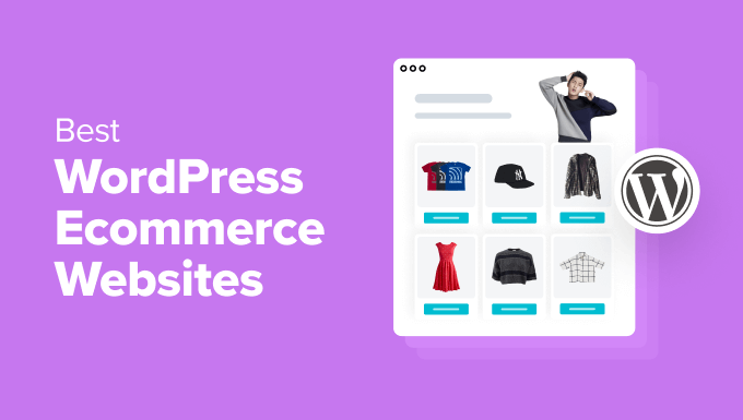 12 Best possible WordPress eCommerce Web site Examples (+ Design Guidelines)