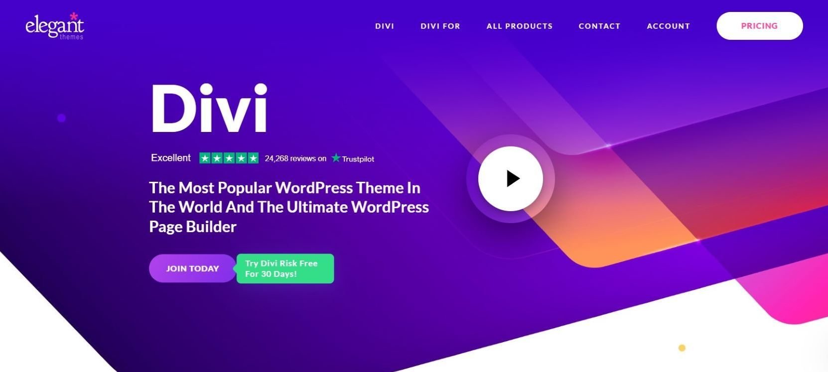 divi theme