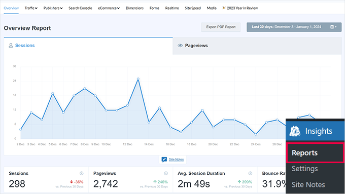 MonsterInsights Reports