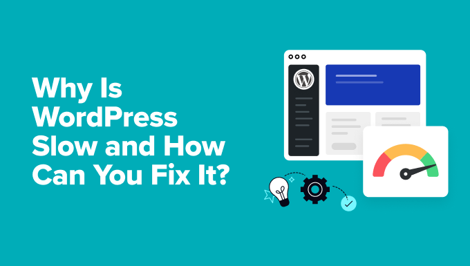 Why Is WordPress Sluggish? Be informed Find out how to Repair It with Our 11 Professional Pointers