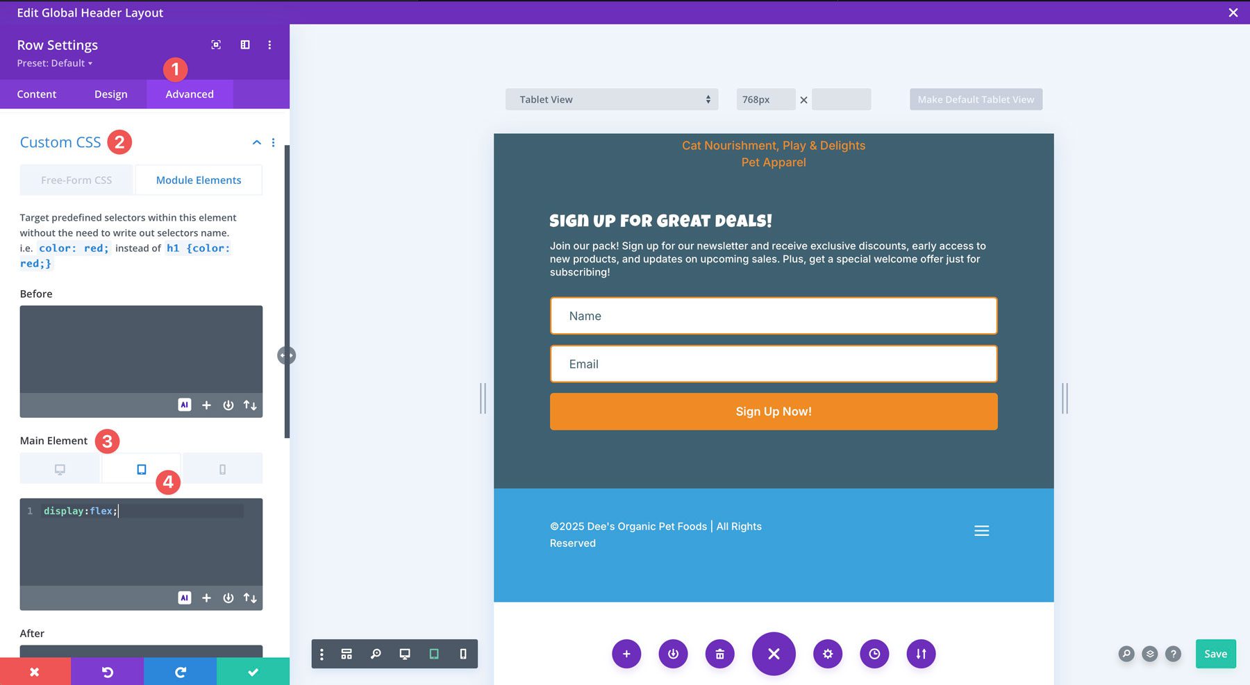 Divi custom CSS